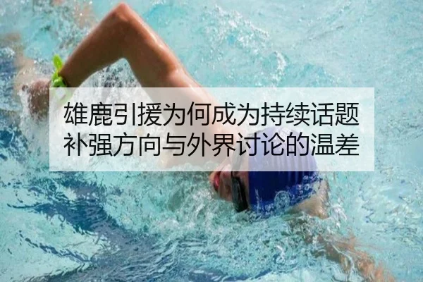 雄鹿引援为何成为持续话题 补强方向与外界讨论的温差